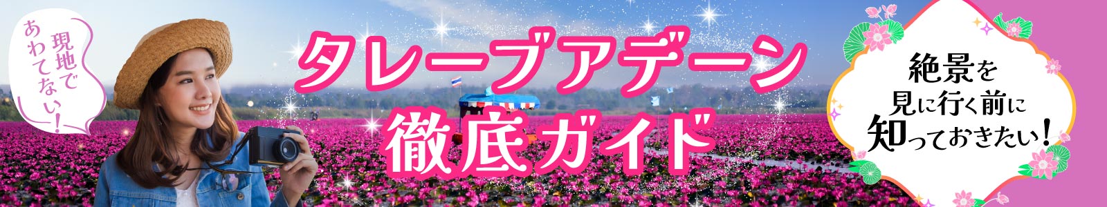 タレーブアデーン徹底ガイド